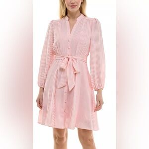 Taylor Women's Long Sleeve V-Neck Striped Tie Waist Fit and Flare Dress